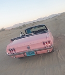 Filename=008.jpg
Filesize=198KiB
Dimensions=1440x1080
Date added=Sep 24, 2025 008.jpg