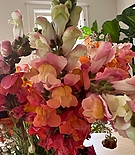 Filename=127.jpg
Filesize=185KiB
Dimensions=1080x1080
Date added=Dec 19, 2023 127.jpg