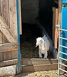 Filename=177.jpg
Filesize=275KiB
Dimensions=1080x1080
Date added=Dec 19, 2023 177.jpg