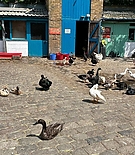 Filename=178.jpg
Filesize=321KiB
Dimensions=1080x1079
Date added=Dec 19, 2023 178.jpg