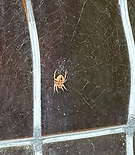 Filename=258.jpg
Filesize=214KiB
Dimensions=1080x1080
Date added=Dec 19, 2023 258.jpg