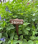 Filename=260.jpg
Filesize=311KiB
Dimensions=1080x1080
Date added=Dec 19, 2023 260.jpg