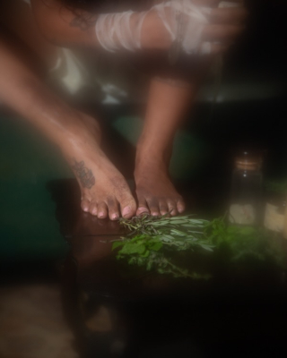 225.jpg