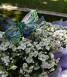 Filename=187.jpg
Filesize=192KiB
Dimensions=1080x1080
Date added=May 12, 2026 187.jpg