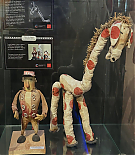 Filename=077.jpg
Filesize=176KiB
Dimensions=1080x1080
Date added=Jun 19, 2026 077.jpg