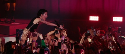 screenshot by x.com/HalseyUpdates
