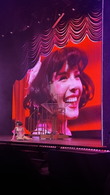 © x.com/igniteverdeen
