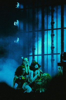 © x.com/trampoline2007
