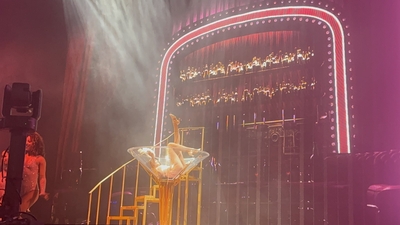 © x.com/in__bloom16
