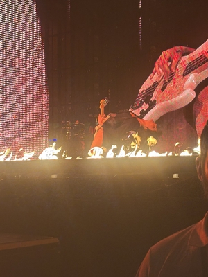 © x.com/in__bloom16
