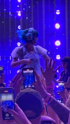 © x.com/lex_the_rex_24
