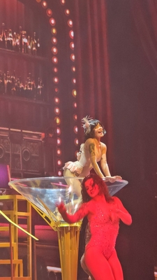 © x.com/circusfairie
