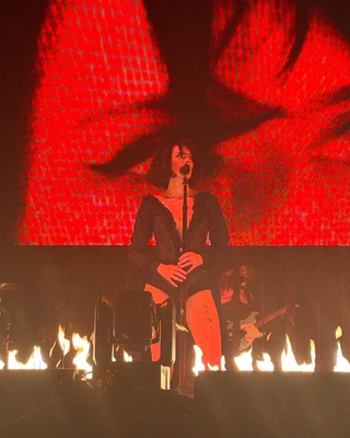 © instagram.com/molls_magarian
