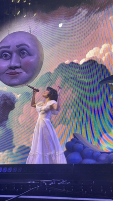 © x.com/hanheartshalsey
