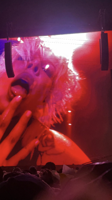 © x.com/sunfl0xerHALSEY
